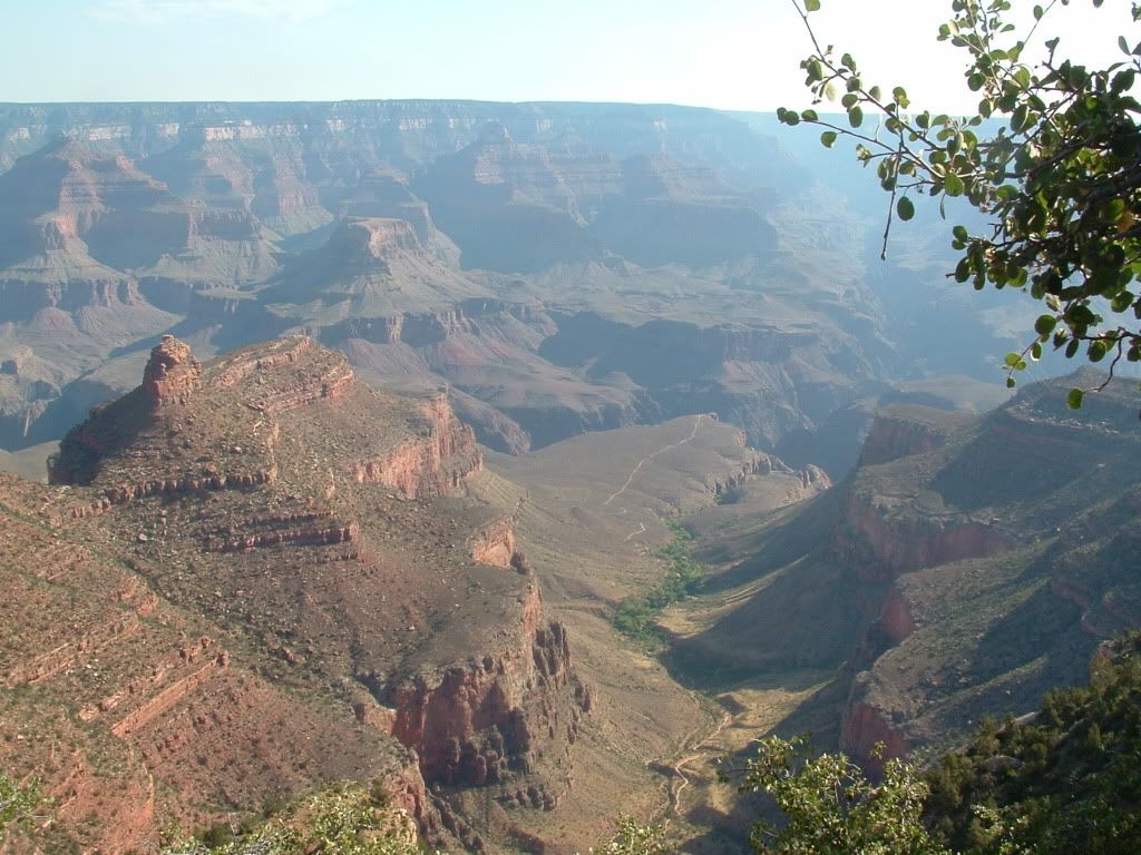 DSCF0521.jpg