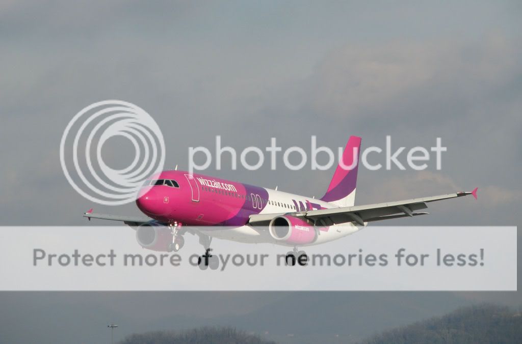 IMG_4024.jpg