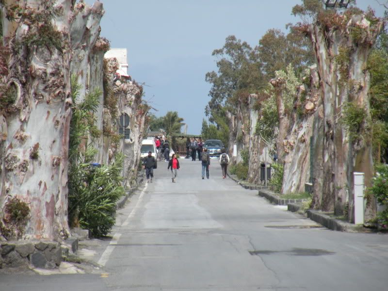 DSCN8233.jpg