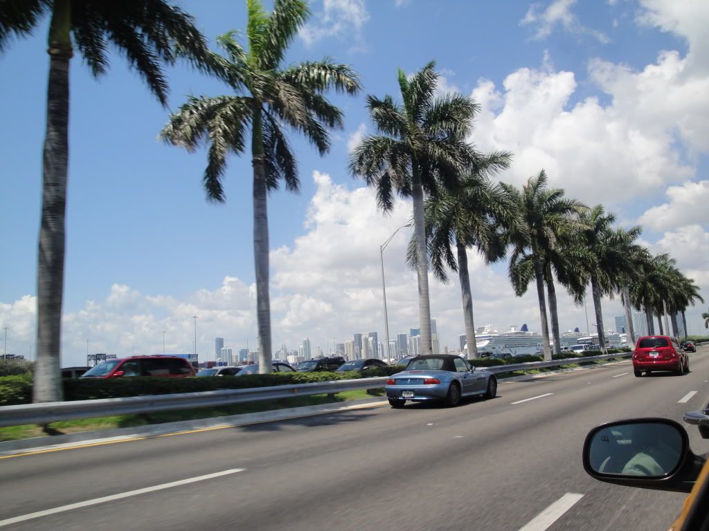 DSC05449.jpg