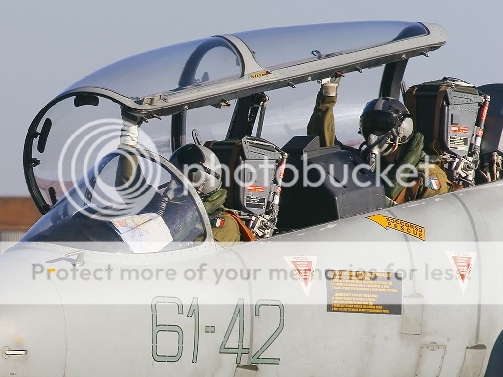 339limj.jpg