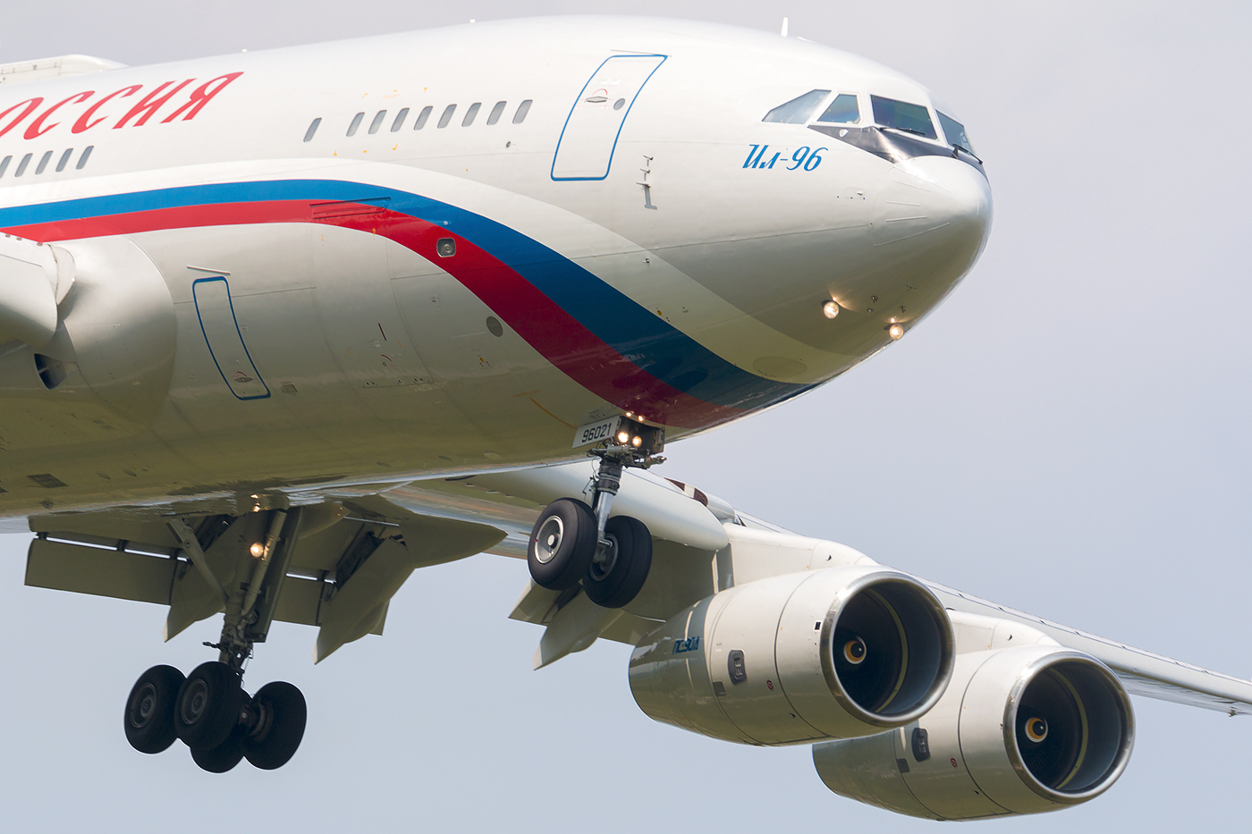 liveandletsfly.com