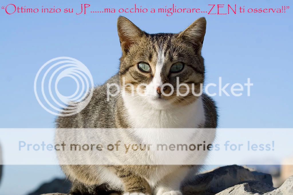 catm405.jpg
