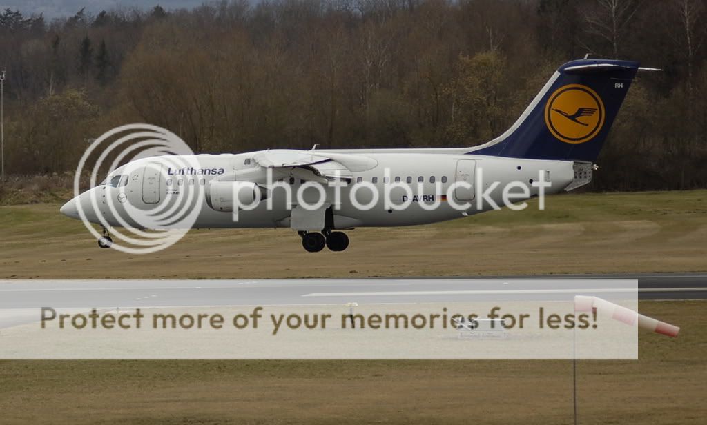 D-AVRH1.jpg