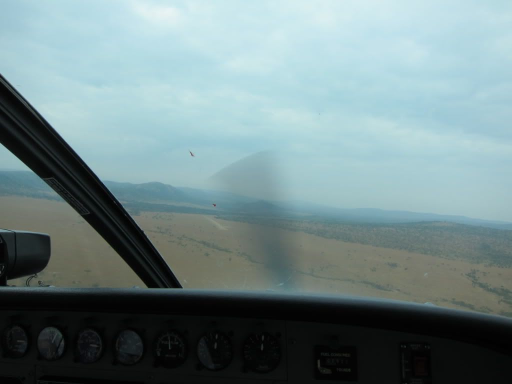 IMG_4575.jpg
