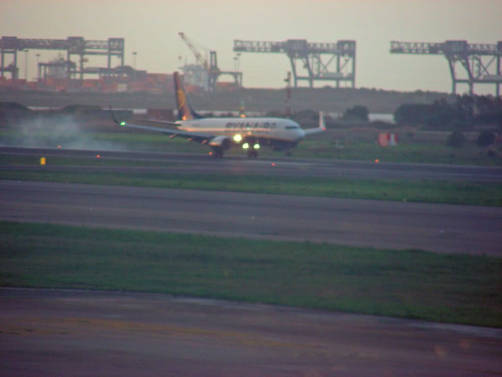 DSCN8409_edited-1.jpg