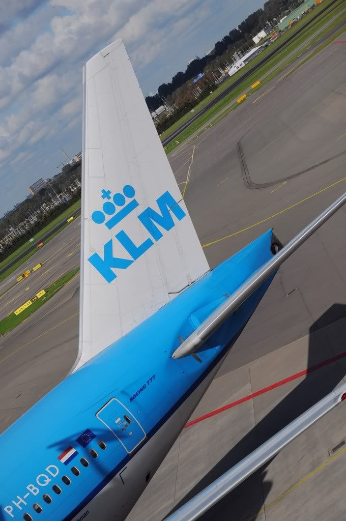 510.jpg