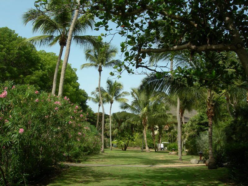 DSCN2475.jpg
