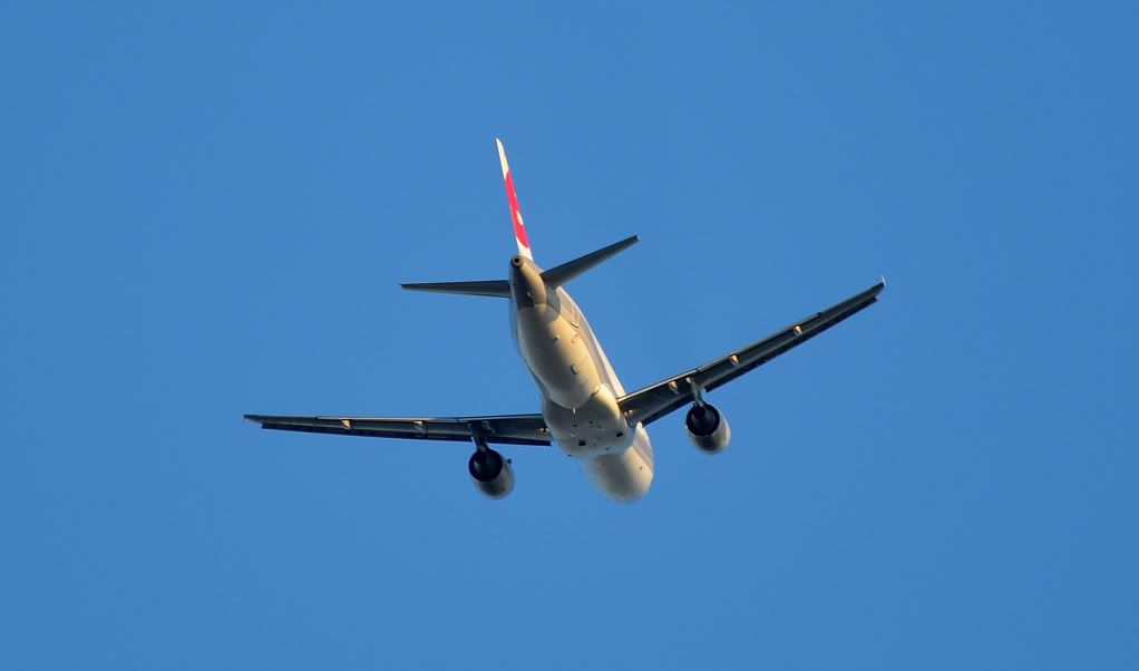 DSC_3994.jpg