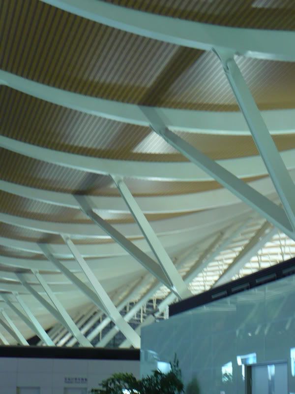 P1020106.jpg