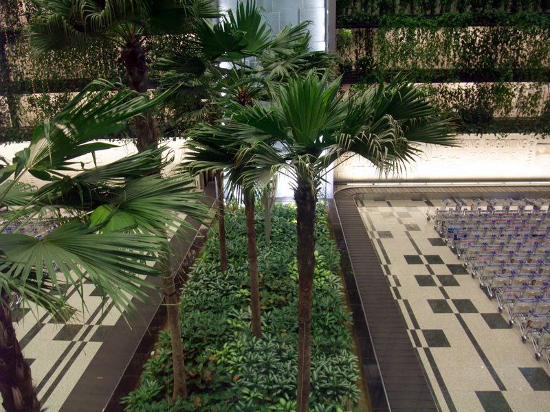 DSCF8182.jpg