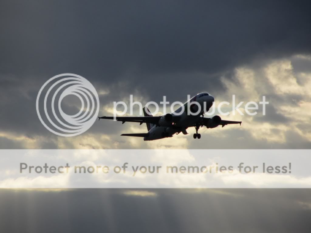 584abab0.jpg