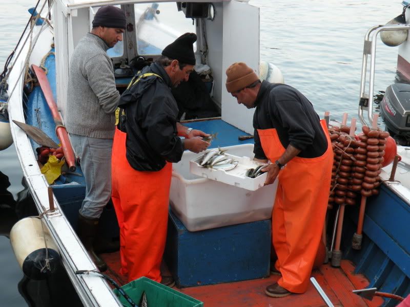 DSCN8106.jpg