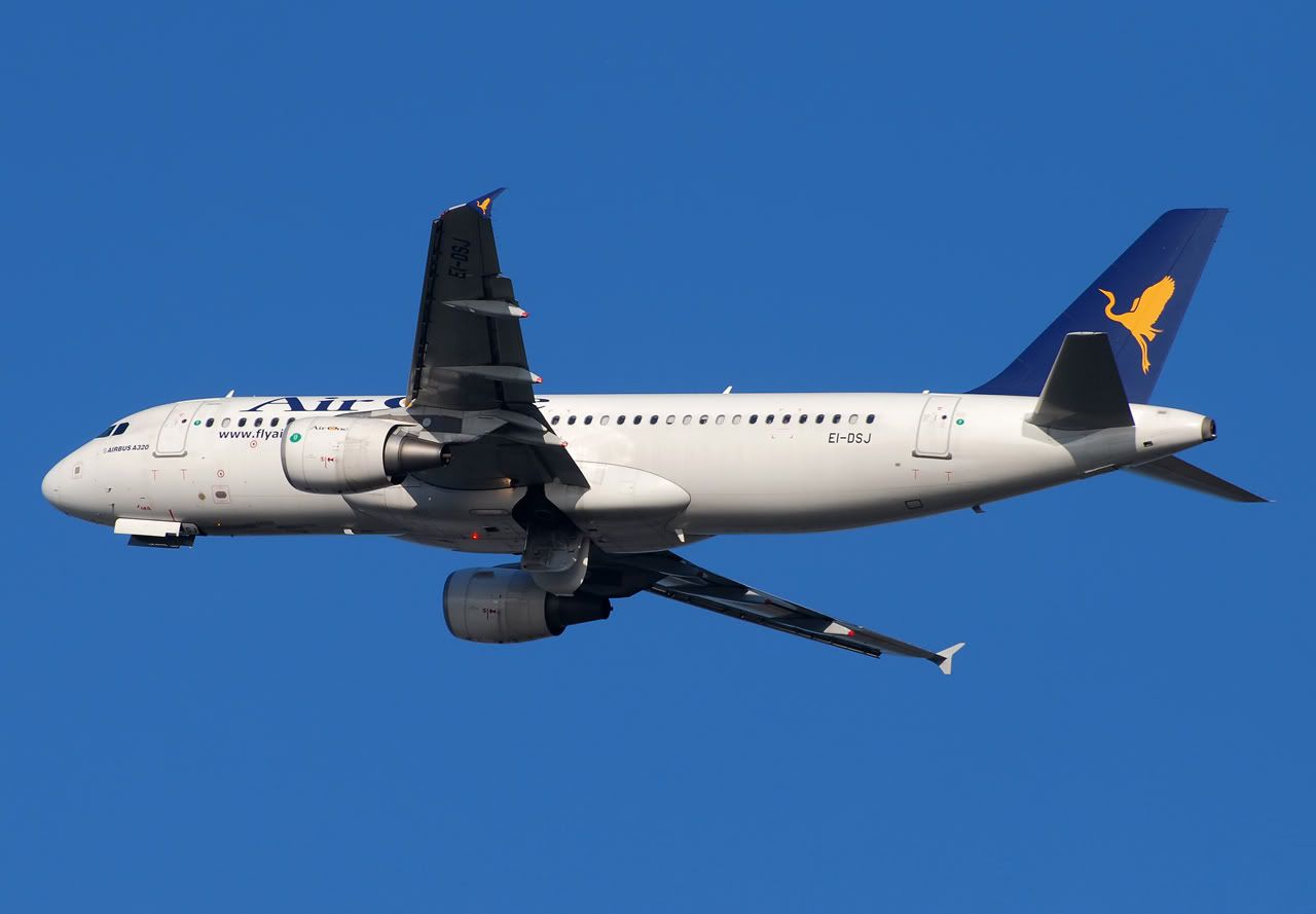 EI-DSJ2.jpg
