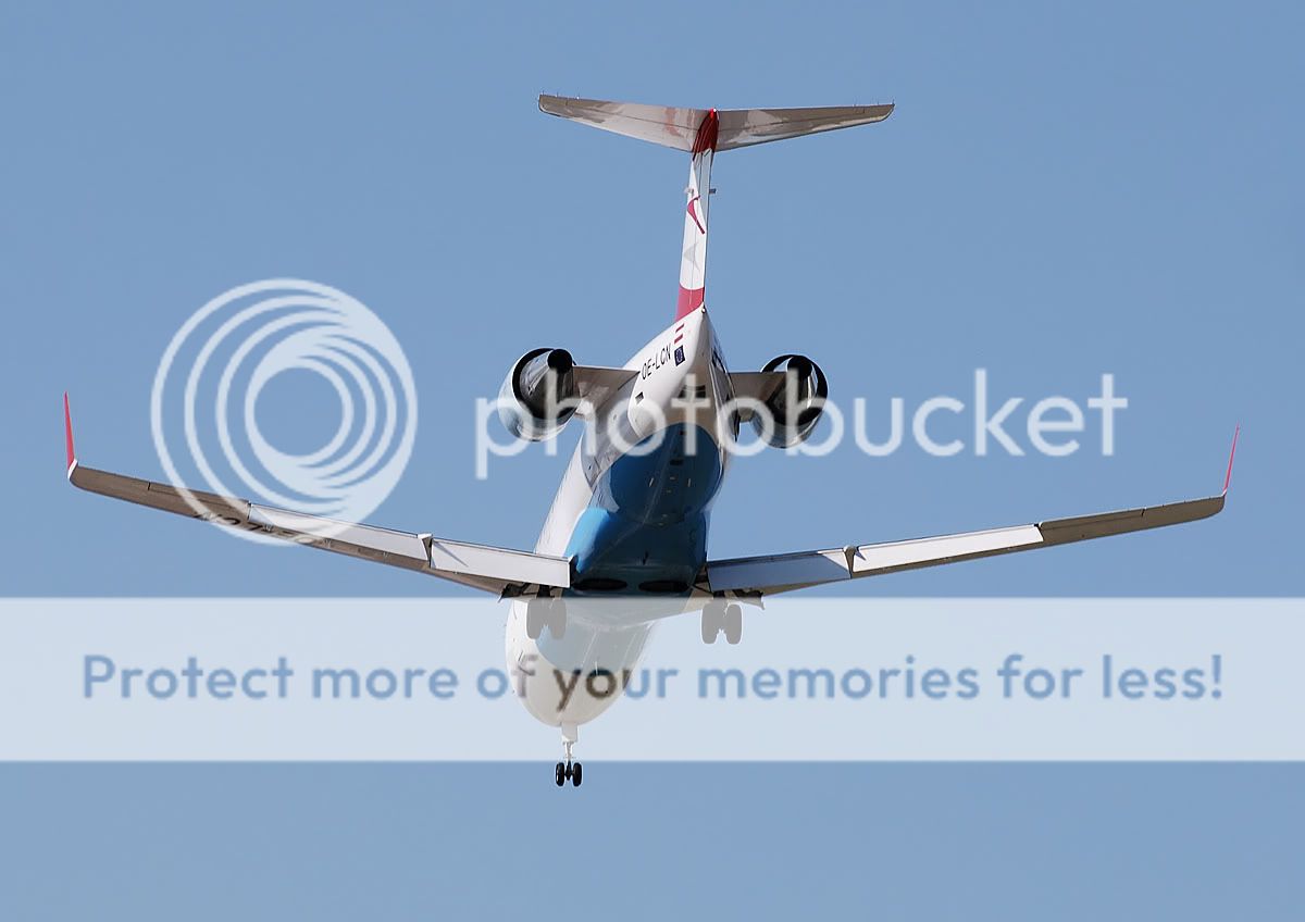 OE-LCN.jpg