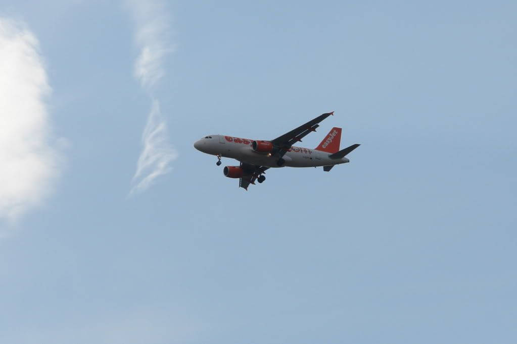 DSC02006.jpg