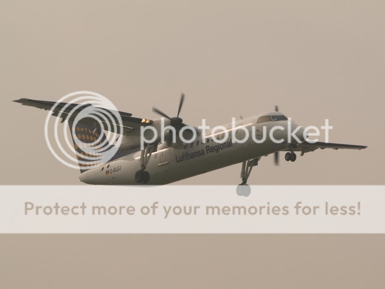 PA251036.jpg