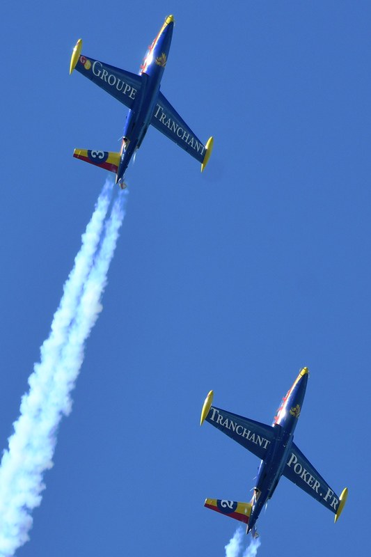 54096999639_8b68ab3426_c.jpg