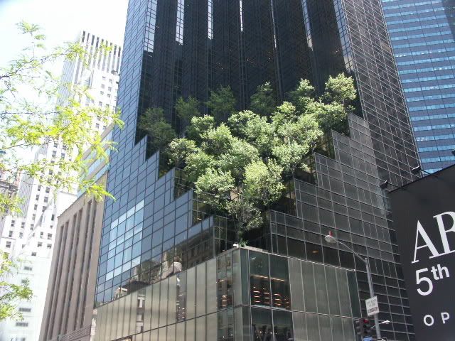 PICT0154.jpg