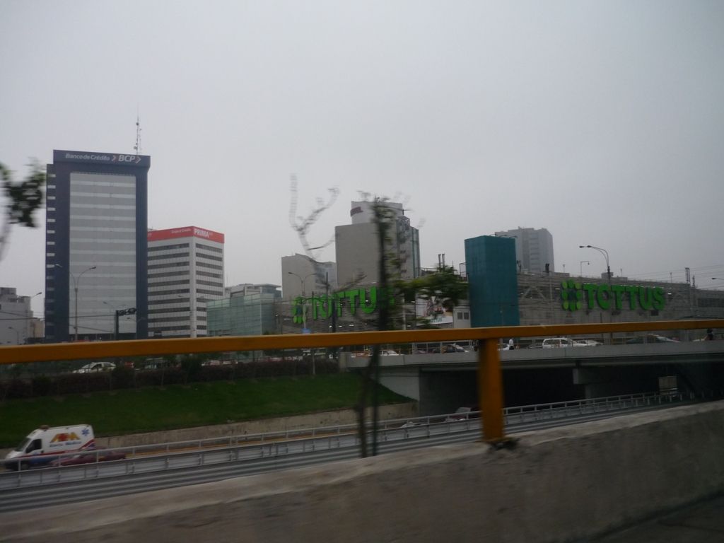 P1010498.jpg