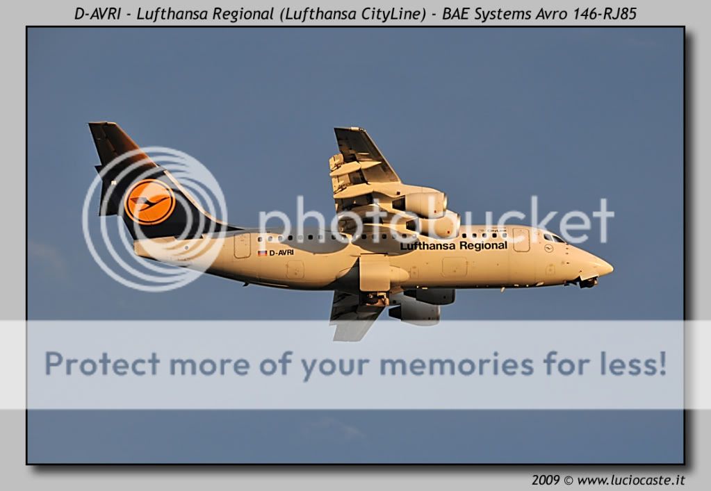 D-AVRI3.jpg
