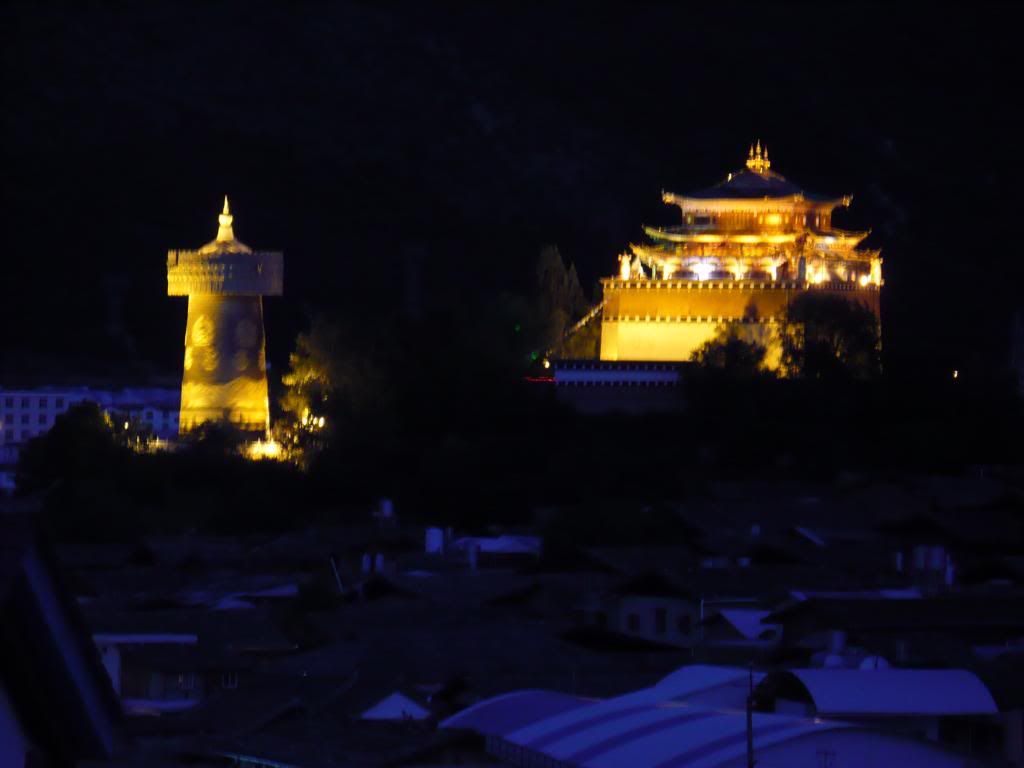 P1010193.jpg