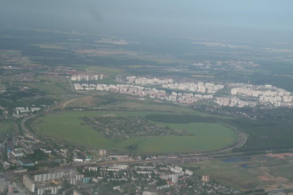 mosca71.jpg