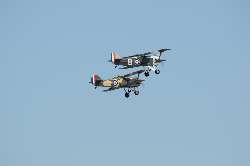 DSC_0233.jpg