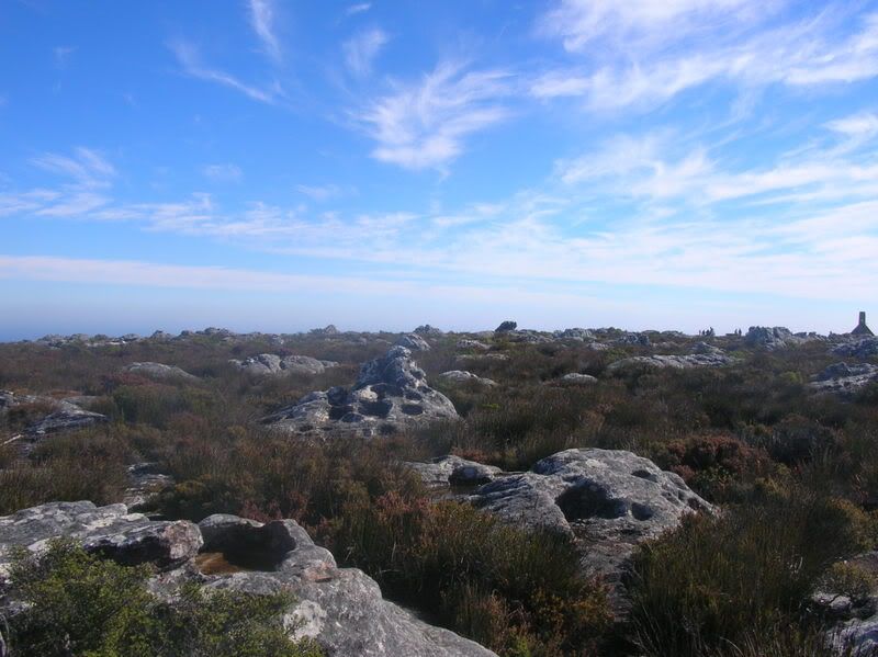 DSCN5616.jpg