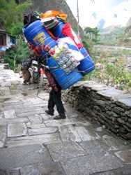 sherpa-carrying-load.jpg