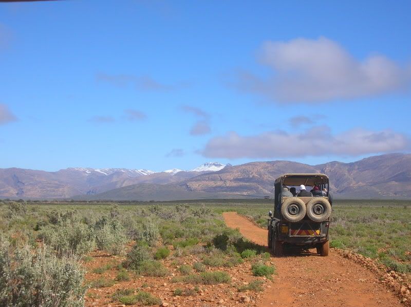 DSCN5026.jpg