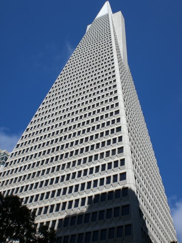 CIMG0690.jpg