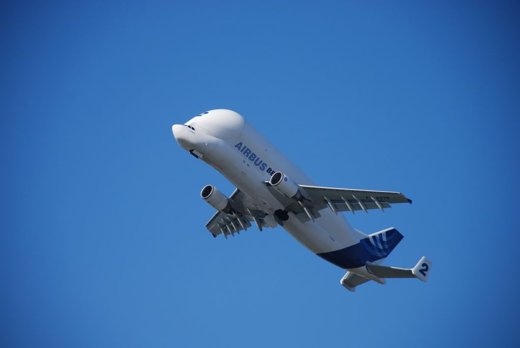 DSC_4126.jpg