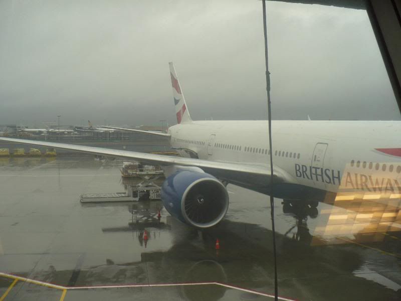P1020122.jpg