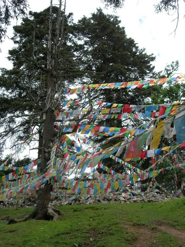 DSCN2254.jpg