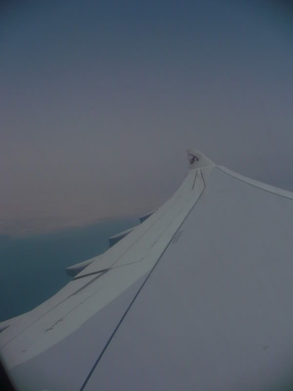 P1020173.jpg