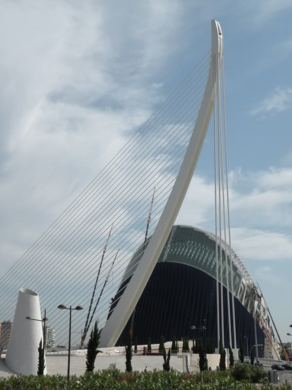 DSCN9053.jpg