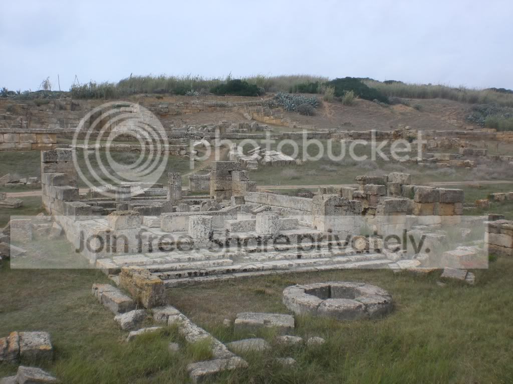 resized_Trapani257.jpg