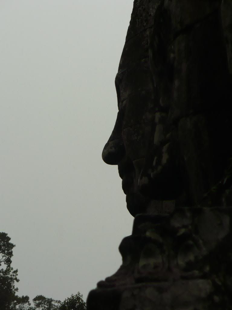 IMG343.jpg