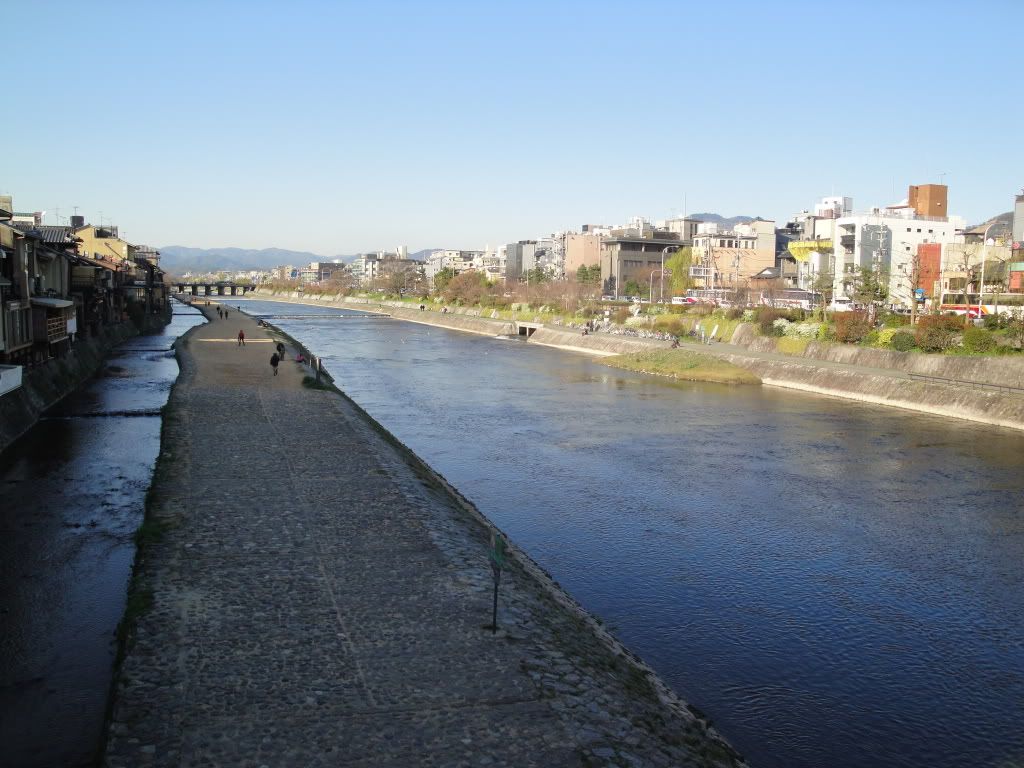 DSC01560.jpg