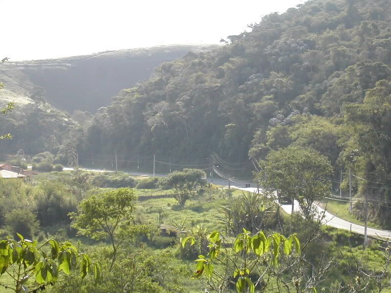 DSCN6124.jpg
