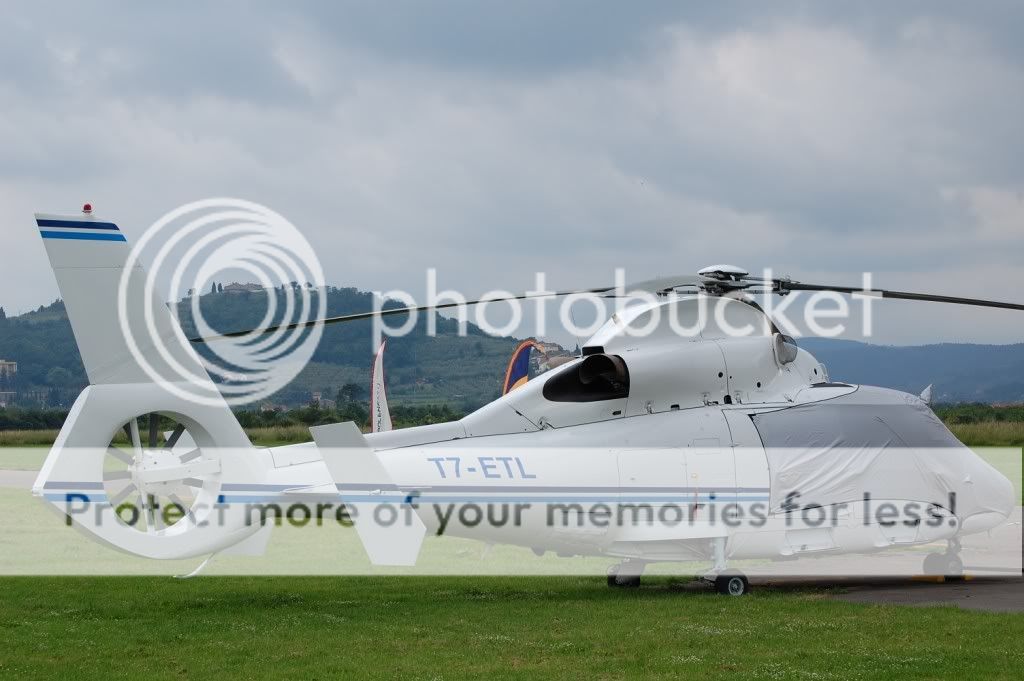 DSC_0230.jpg