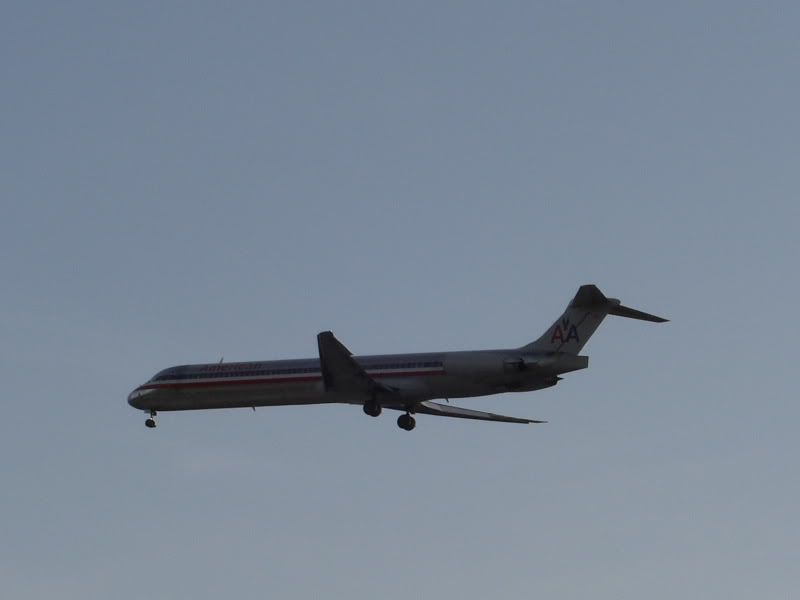 CIMG5110.jpg