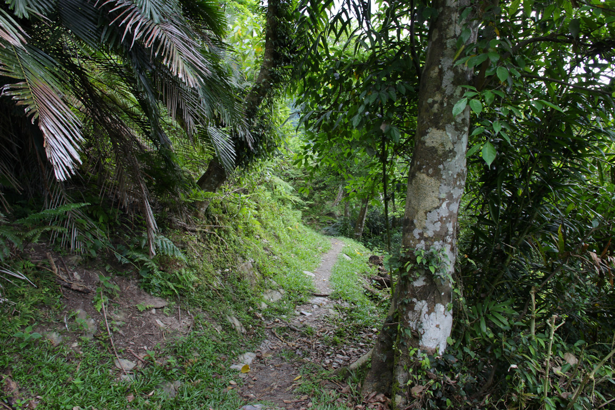 169.jpg