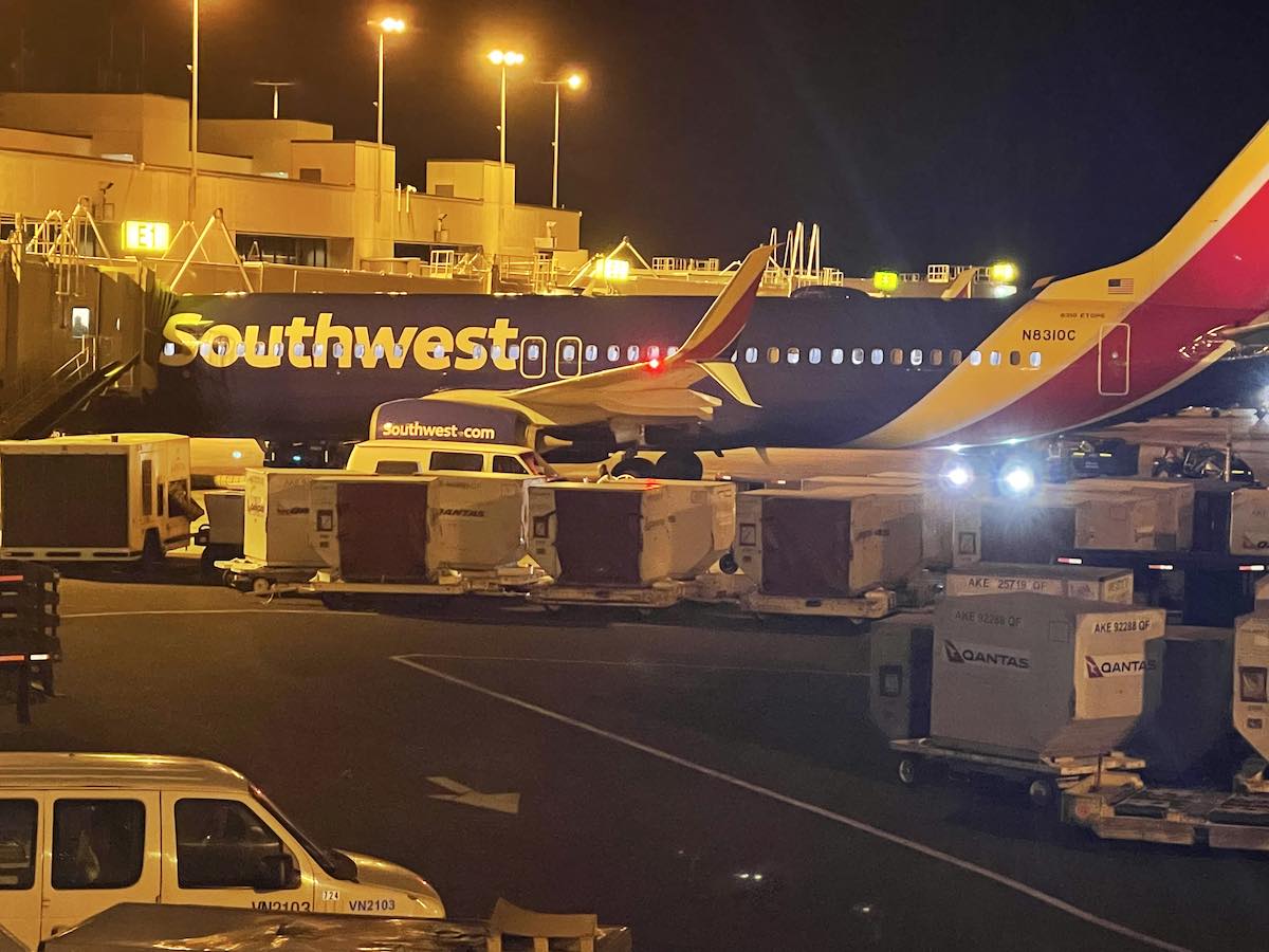 www.theflightclub.it
