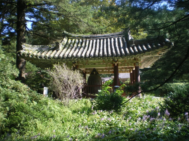 IMGP5774.jpg