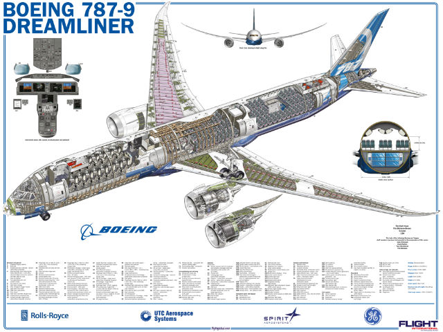787-9 cutaway