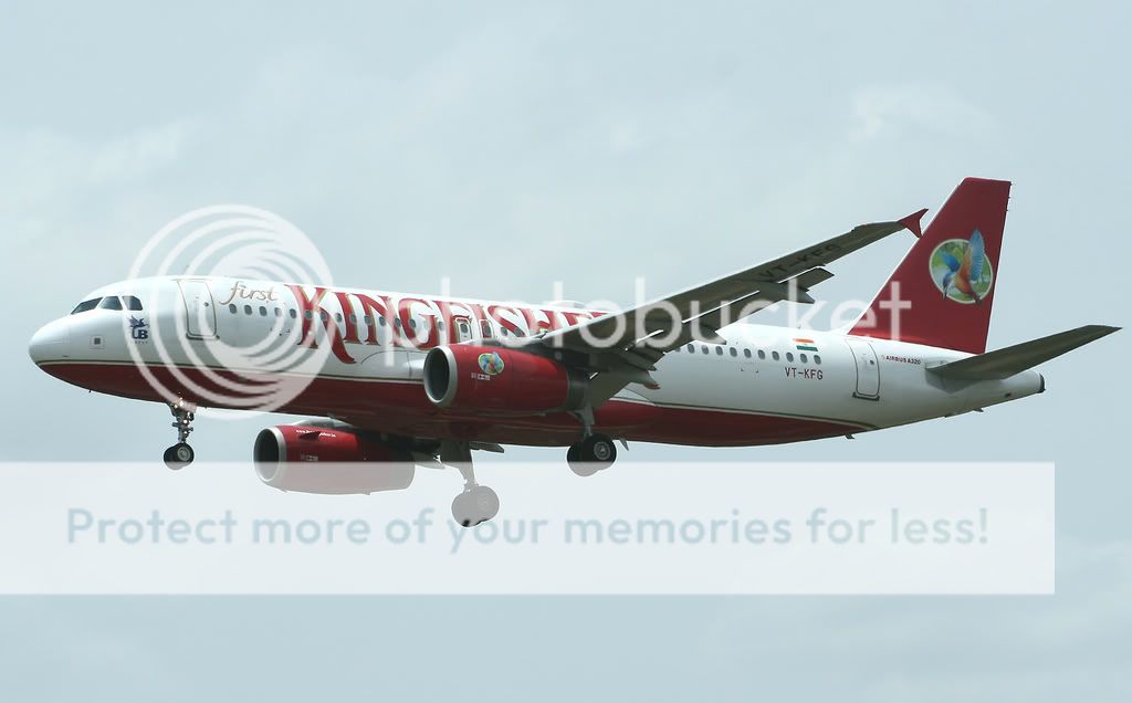 014-KINGFISHER-VT-KFG-A3203.jpg