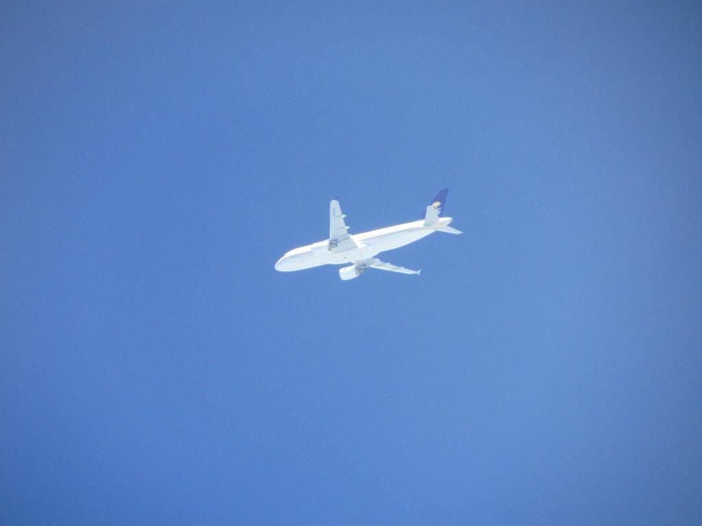 IMG_4089_zps36014338.jpg