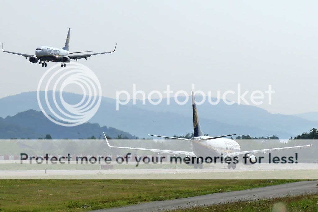 EI-DLG-2.jpg